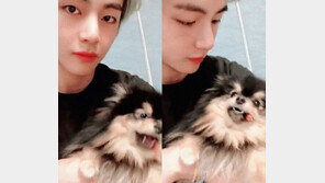 [내가 왜 떴게?] 연탄이 되는 법…BTS 뷔, 반려견 연탄