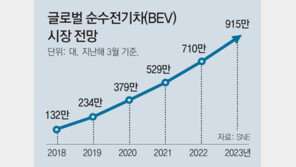 LG화학, 유럽에 제2 배터리 공장 검토