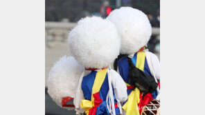 [고양이 눈]흰둥이 엉덩이인가, 솜사탕인가?