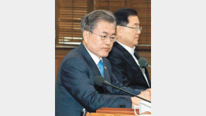 文대통령, 트럼프와 ‘영변 시각차’