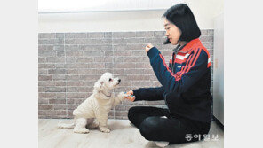 “유기견 훈련시켜 장애인 도우미로 보내요”