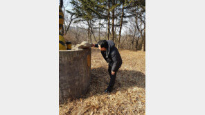 도둑맞은 돌오리, 16년만에 되찾았다…부안 동문안 당산