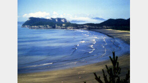 ‘봄철 가볼만한 섬’에 여수 하화도·진도 관매도·신안 선도 선정