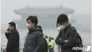“초미세먼지 조기 사망자 한해 1만2000명…58%가 심질환·뇌종증”