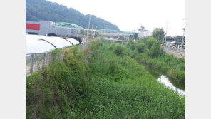 ‘큰손’ 장영자씨 소유 땅 경매 등장…감정가 2.2억