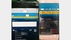 400억원대 스포츠 도박 운영한 형제…필리핀서 검거