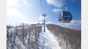 하이원스키장, 17일까지 겨울시즌 마지막 이벤트