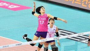 대한항공 집안싸움? 이재영 유력?…V리그 MVP 경쟁도 치열