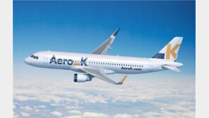 LCC 세 곳 추가…근시일내 기존 항공사 따라잡기엔 힘겨워