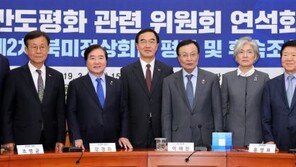 당정 “북미 중재외교 적극 나설 것”…북미회담 후속조치