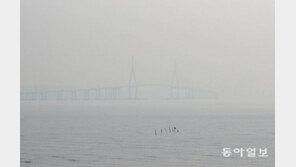 中, 초미세먼지 낮아졌다지만…실제 대기 상황은 오히려 ‘악화’