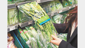 “못 잊겠어, 공심채”… 동남아의 맛에 빠진 식탁