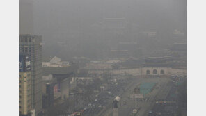 ‘경칩’ 하늘은 잿빛…비는 찔금·미세먼지는 가득