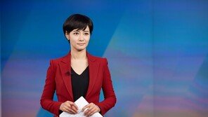 김주하 유튜버 고소…“불륜으로 애 가져 이혼” 등 허위사실 유포·비방