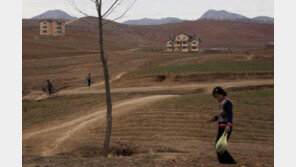 北, 작년 곡물수확량 10년래 최악…영양실조·질병 위협 증가