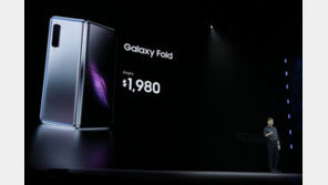 “삼성전자, 폴더블폰 2종 추가 개발”