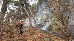 청주 우암산 산불, 1시간 만에 ‘완진’…당국 “0.1㏊ 소실·인명피해 無”