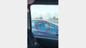 [영상]시속 120km 달리는 차에서 손 놓고 ‘쿨쿨’…정신나간 운전자