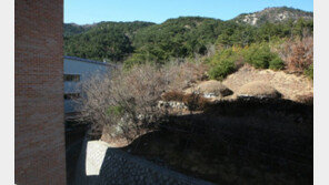 헌재 “분묘발굴죄, 징역형으로만 처벌은 합헌”