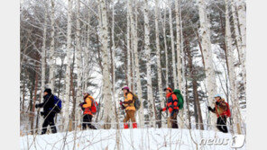 미시령 21cm 등 강원 산간 ‘대설’… 미세먼지 영동 ‘보통’· 영서 ‘나쁨’