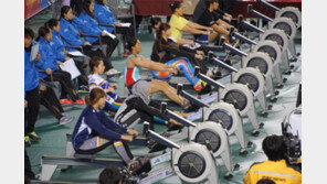 전국실내조정선수권 9일 진주서 개최