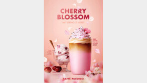  파스쿠찌, 봄 맞이 벚꽃시즌 한정 음료·디저트 2종 출시 