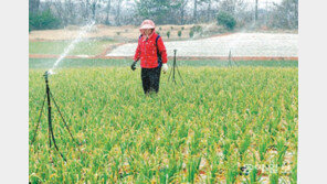 봄가뭄에 스프링클러 급수작업