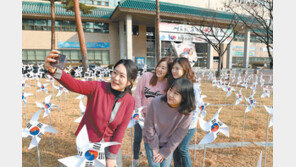태극기 바람개비 배경으로 찰칵