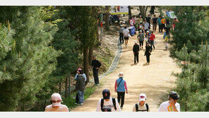 “선택과 집중으로 ‘될성부른 축제’ 육성한다”