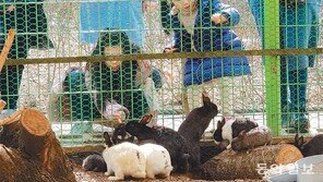 “토끼야! 당근 먹어”