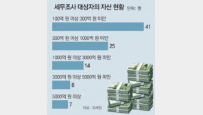 중견기업 사주 등 95명 동시 세무조사