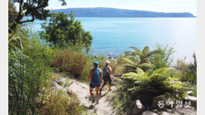 한라산 5번 왕복 난이도…마오리 원주민 응원 받으며 출발하는 160㎞ 마라톤