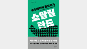 [책의 향기]무정부-해적 국가 아닌 진짜 소말리아를 찾아서