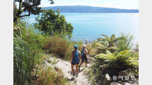 원시림-졸음과 힘겨운 싸움… 체력 동나자 환각-환청까지