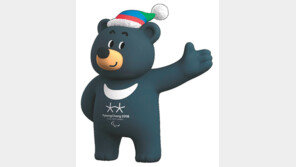 장애인체육 띄우려 반다비가 돌아왔다