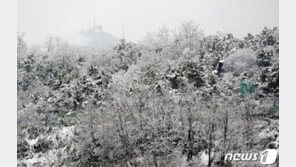 홀로 모악산 등산하던 경찰관, 정상서 쓰러져 숨져