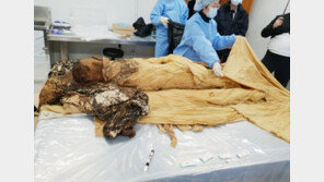 구미서 400년 전 추정 미라 발견…무덤 주인은 두곡 고응척 선생