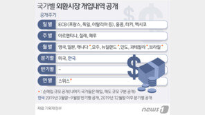 韓 외환시장 개입내역, 첫 공개…환율조작국 우려 준다