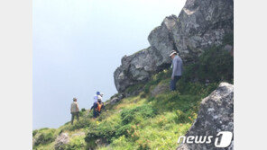 “봄 등산 땐 머리 위를 보세요”…낙석사고 70%는 2~4월