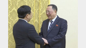 北 리용호, 주북 베트남대사 초청해 만찬…친선 다지기 계속