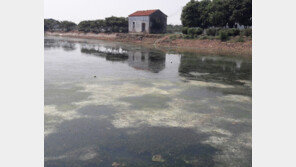 中 민물 양식장, 지구온난화 부채질