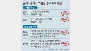 엘리엇 대신 현대차 손들어줘