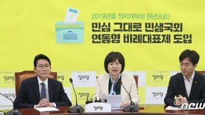 윤소하 “나경원, 여야4당 패스트트랙에 기름부은 격”