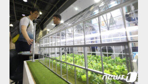 귀농인 절반은 ‘투잡’ 신세…1년차 평균소득 2319만원