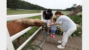 “3000원으로 렛츠런파크 제주 힐링투어 하세요”
