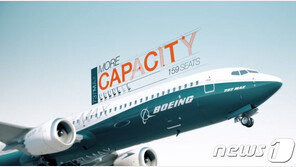 잇단 추락 ‘보잉 B737-맥스’ 국토부 투트랙 긴급점검