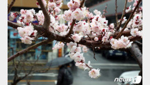 전국 흐리고 한때 비…오후 ‘꽃샘추위’ 시작
