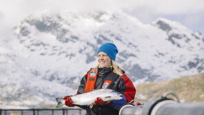 노르웨이수산물위원회, 노르웨이 연어 안전성 강조하고 나서