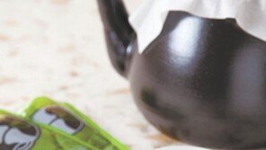 젊은 퇴행성관절염 환자 급증… 뼈와 뼈사이 ‘콜라겐’을 지켜라