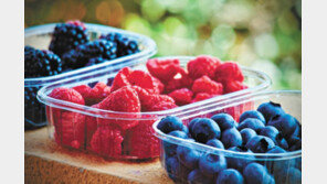 항산화제, 약보다 과일로 섭취해야